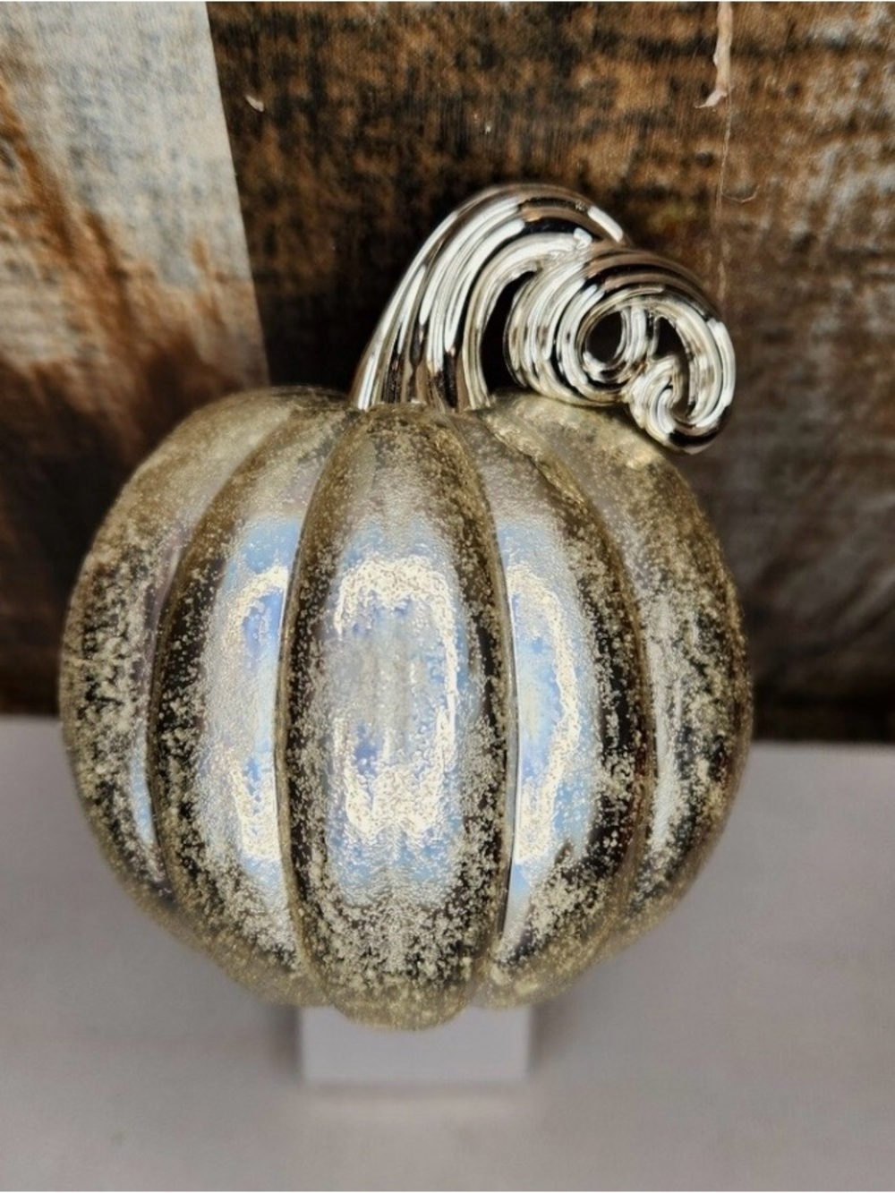 Bath & Body Works Silve Pumpkin wallflower plug